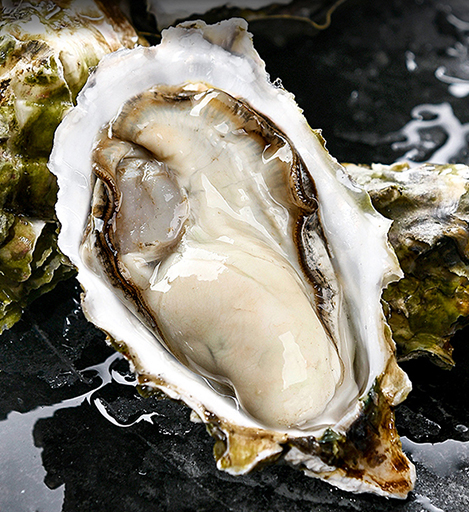 點(diǎn)海成金水產(chǎn)養(yǎng)殖簡(jiǎn)介圖片